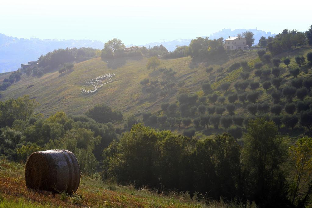 Agriturismo Fara Ξενοδοχείο Montegiorgio Εξωτερικό φωτογραφία