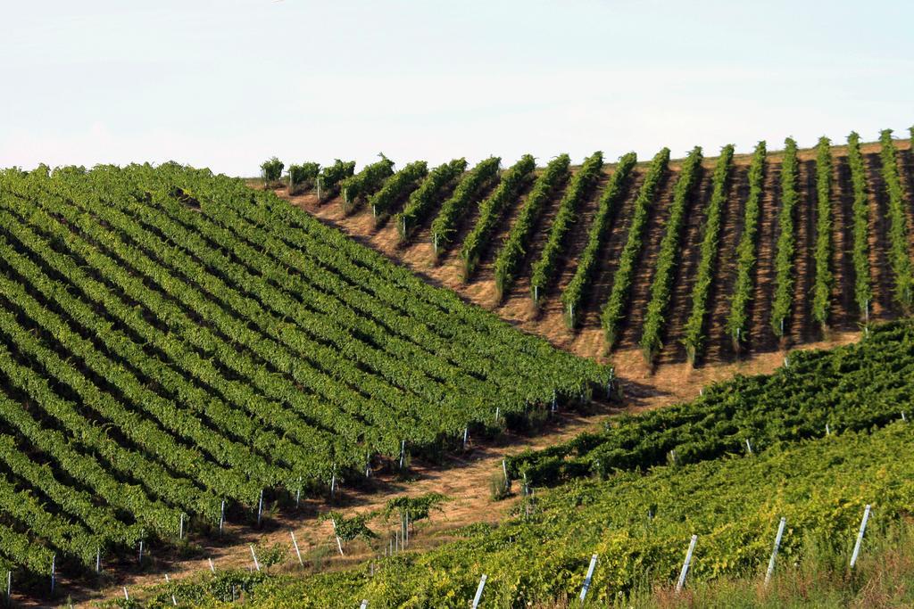 Agriturismo Fara Ξενοδοχείο Montegiorgio Εξωτερικό φωτογραφία